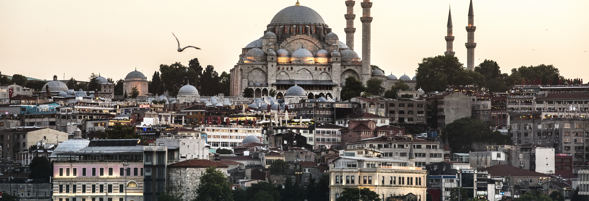 Programa de Viajes L.A.R. 2026